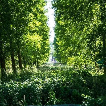 Chalet Het Parkhuisje