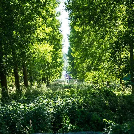 Horská chata Het Parkhuisje